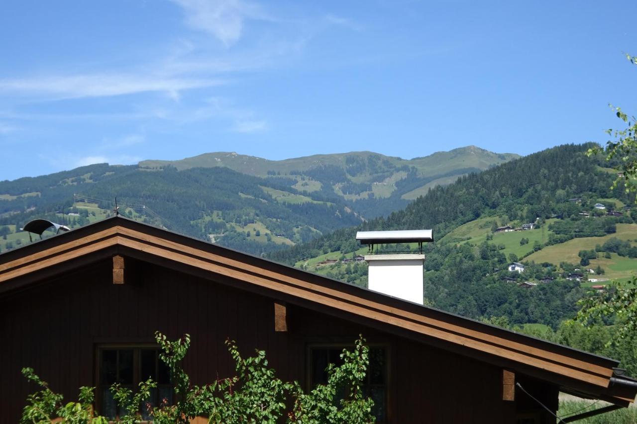 Ferienwohnung Appartement Am Schilf Xl Zell am See Zewnętrze zdjęcie